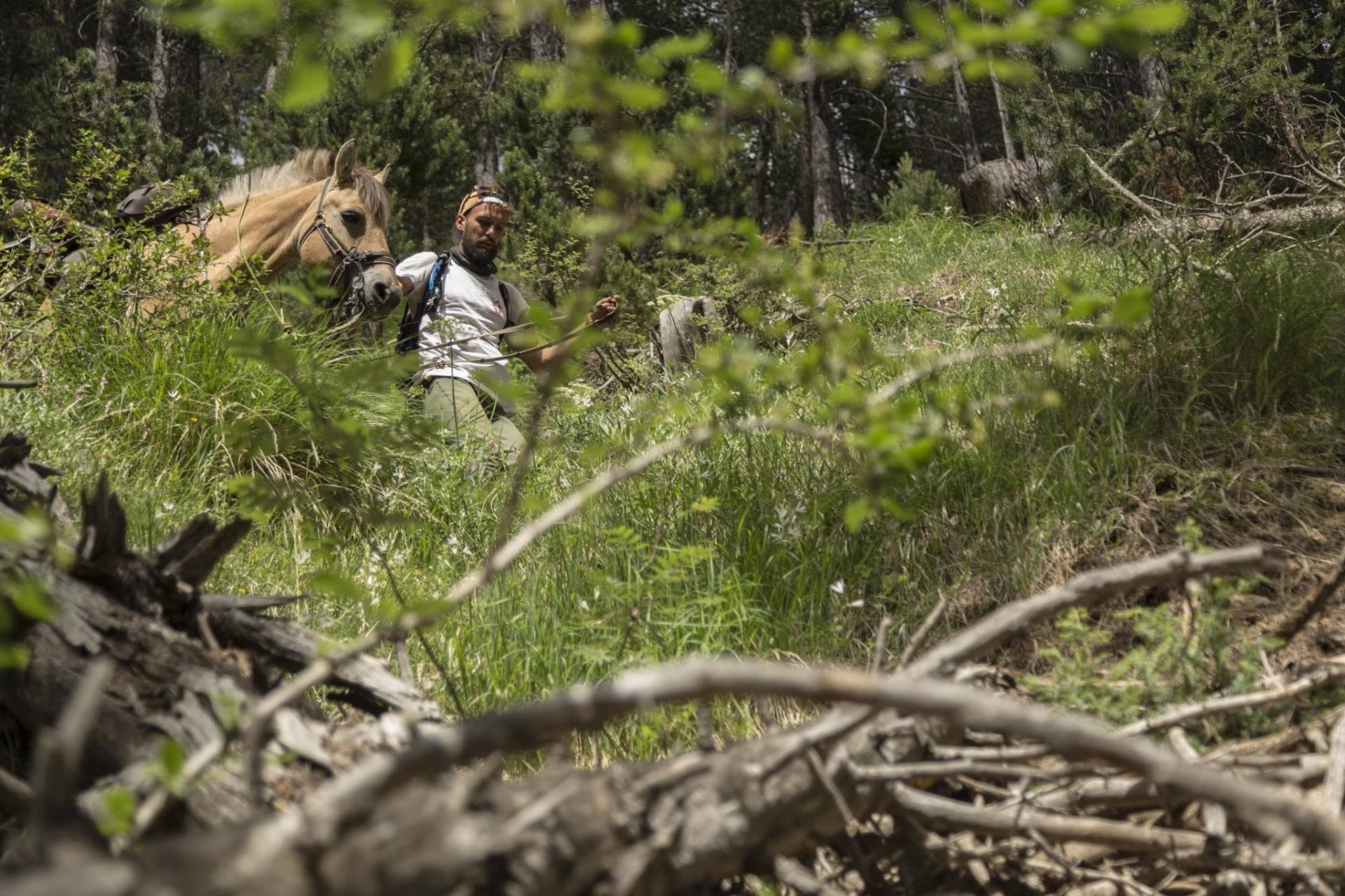 Cyril et Kamaée traversant une forêt alpine