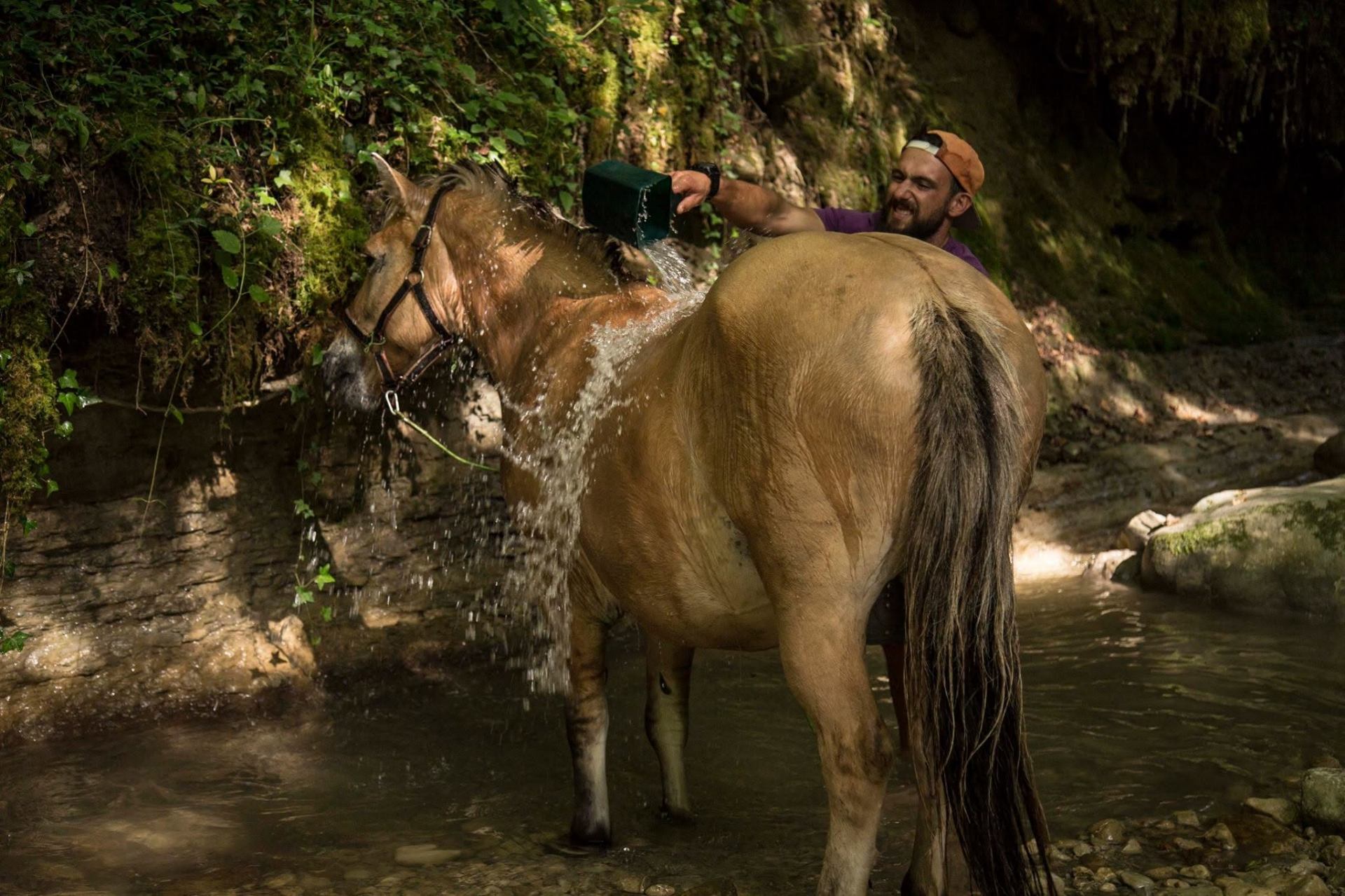 Cyril rafraîchit Kamaée dans un ruisseau ombragé